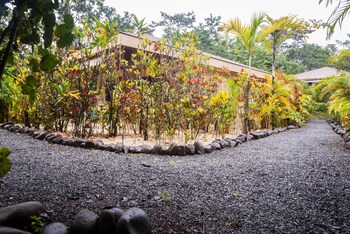 paquera