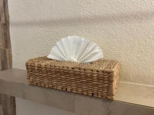 cabo vista hotel adults only