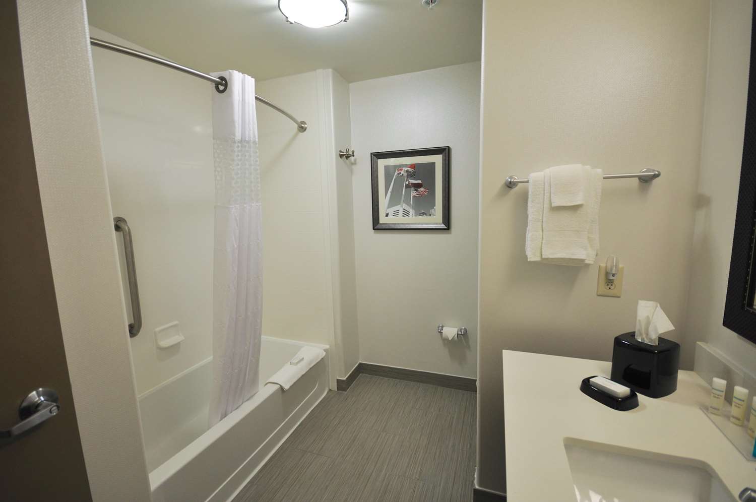 hampton inn and suites hutto austin