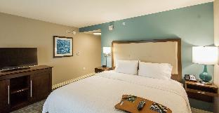Hampton Inn & Suites Orlando At Seaworld,Florida>>Bay Lake,3 star