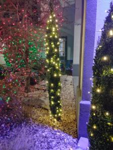 muskogee inn and suites