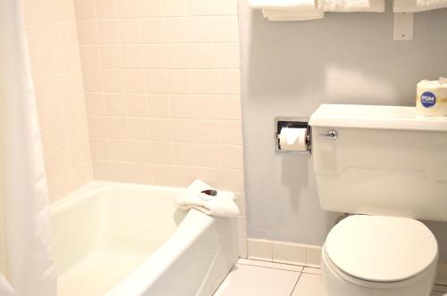 americas best value inn and suites st cloud