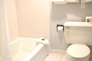 americas best value inn and suites st cloud