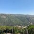 colibri
