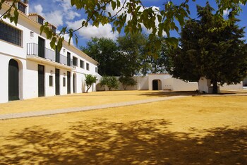 Cortijo De Vega Grande,Zafra>>Llerena,4 star