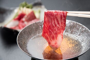 shibukawa