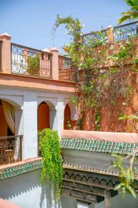 riad marelia