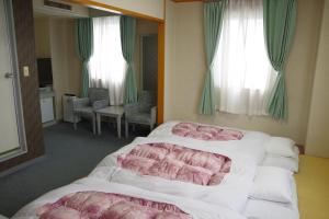 seagrande shimizu station hotel