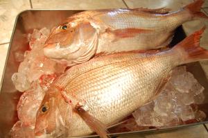 seagrande shimizu station hotel