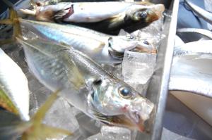 seagrande shimizu station hotel