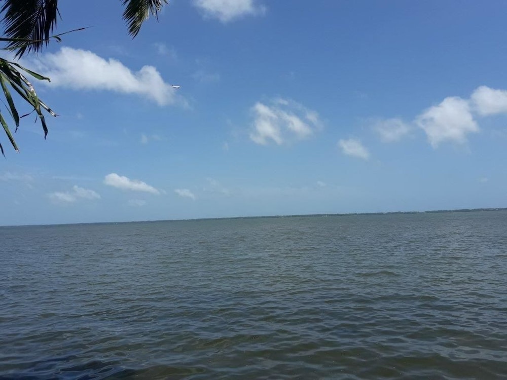 lagoon waves