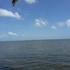 lagoon waves