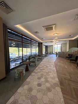 Vital Thermal Hotel And Spa,Marmara Region>>Gökçedere,3 star