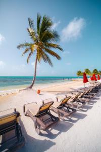grand caribe belize