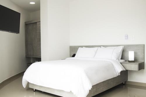 porton de san joaquin