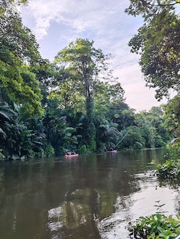 tortuguero
