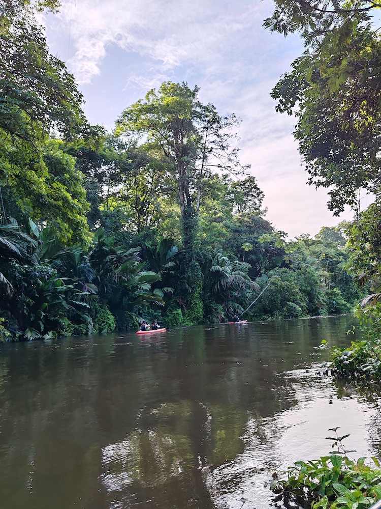 tortuguero