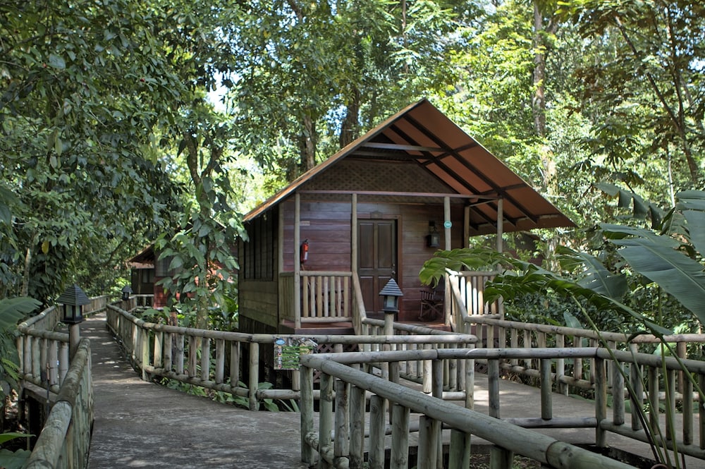 tortuguero