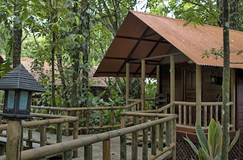 tortuguero