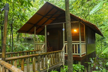 tortuguero