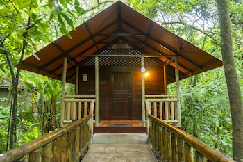 tortuguero