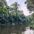 tortuguero