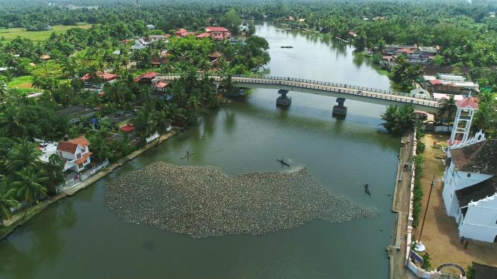 champakulam