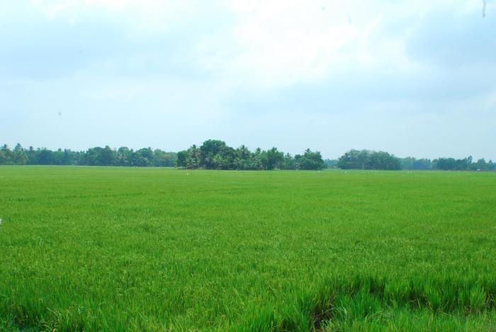 champakulam