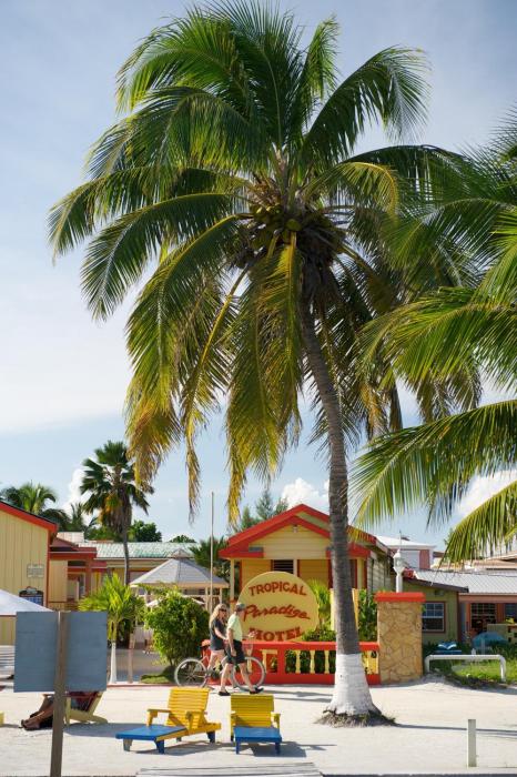 caye caulker