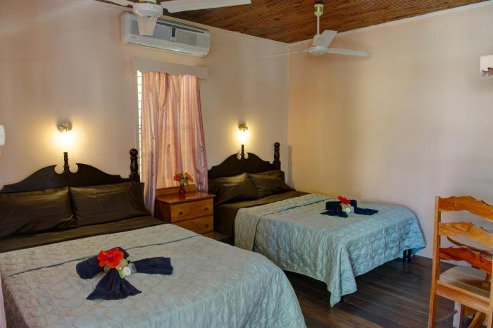 tropical paradise hotel