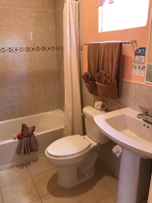 tropical paradise hotel