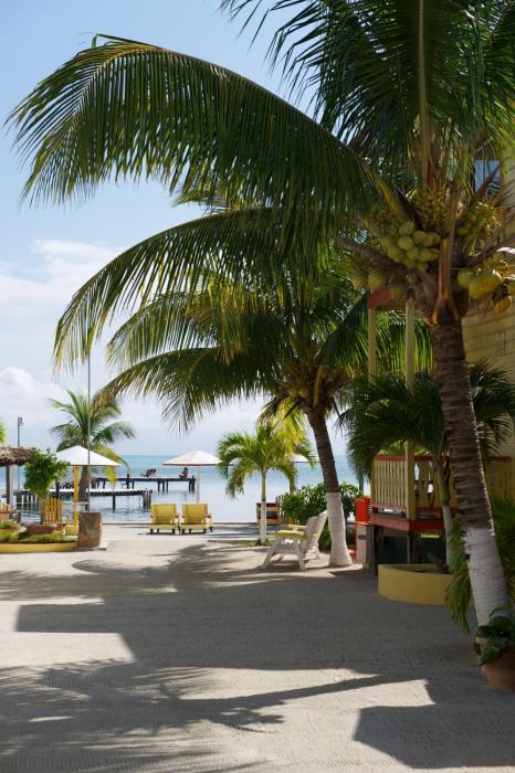 tropical paradise hotel