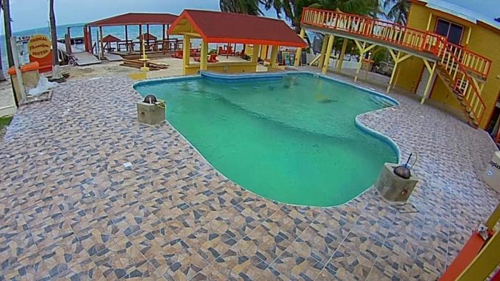 tropical paradise hotel