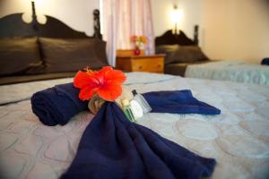 tropical paradise hotel