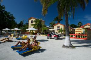 tropical paradise hotel