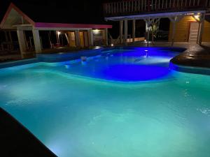 tropical paradise hotel