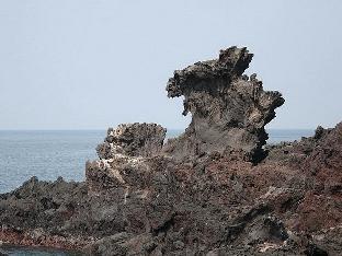 jeju city