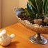 randrivier guest house