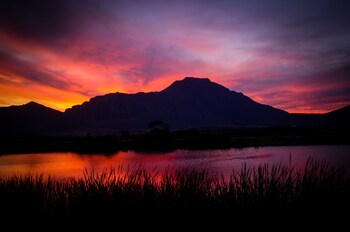 reflections guest farm