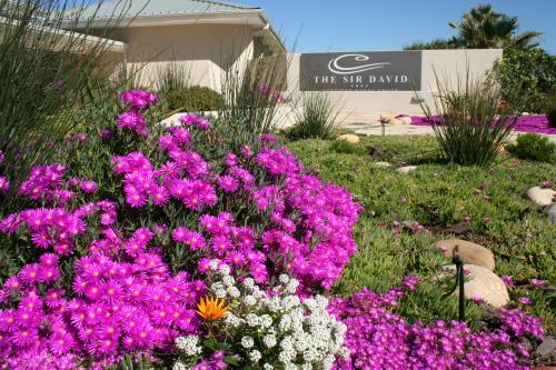 the sir david boutique guest house