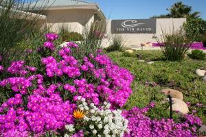 the sir david boutique guest house