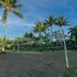parrita