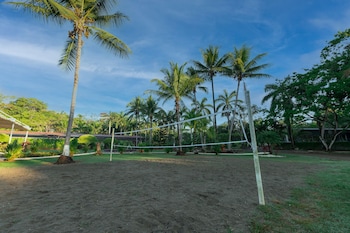 parrita