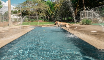 parrita