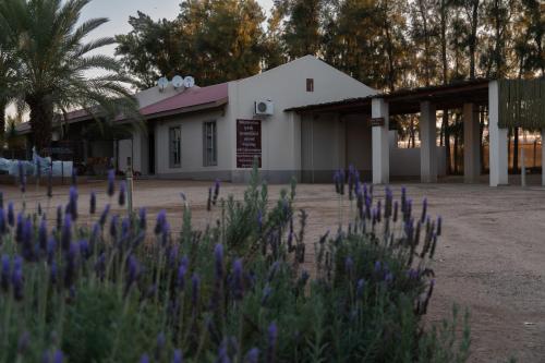 the falls guest house