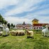 thada chateau hotel