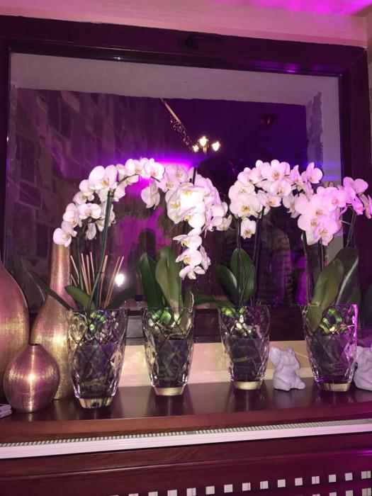 hotel boutique belvedere