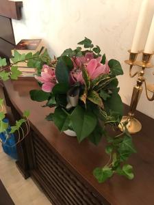 hotel boutique belvedere