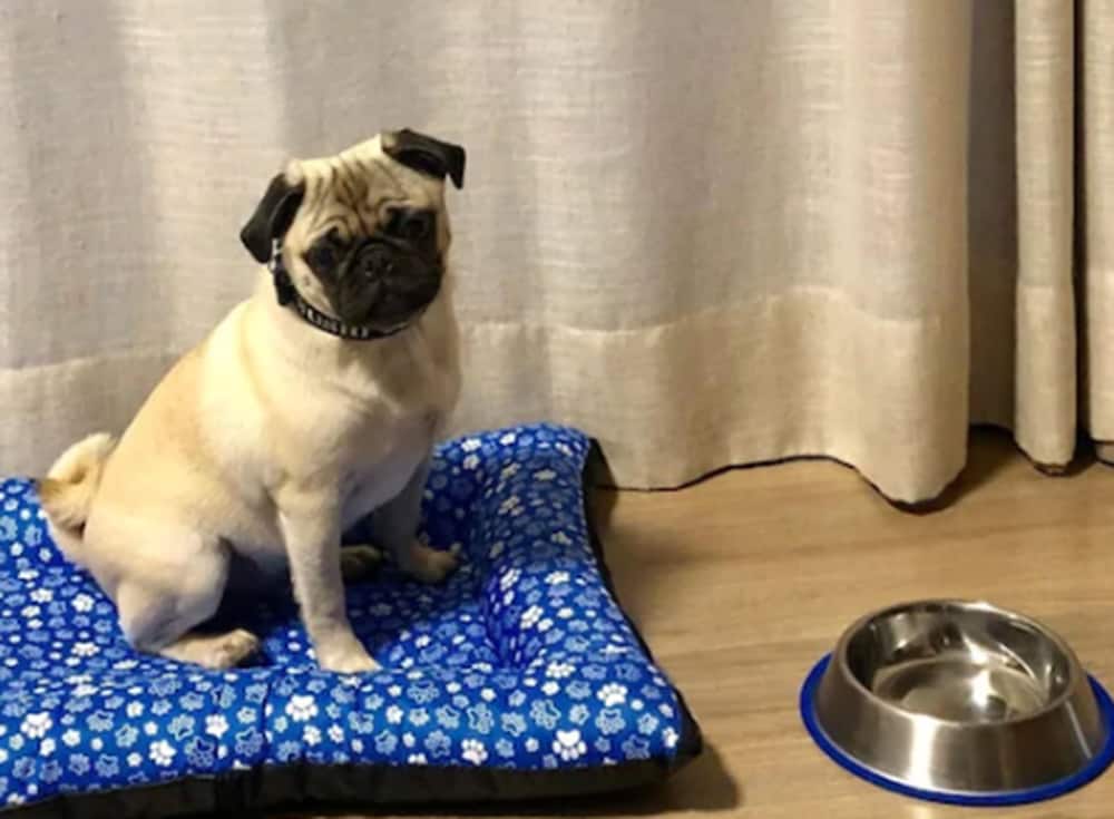 hotel pousada ourinhos