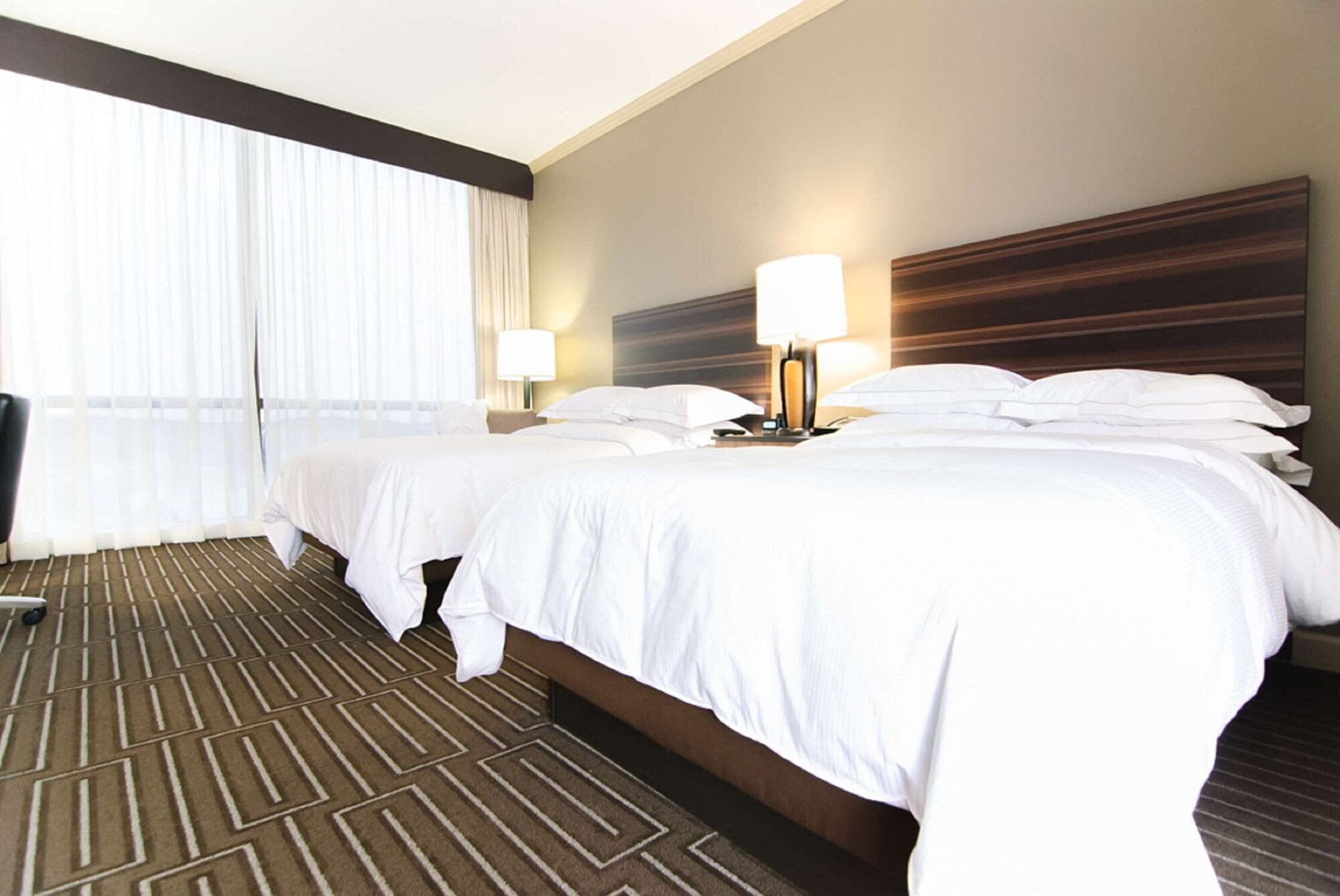 hilton charlotte university place